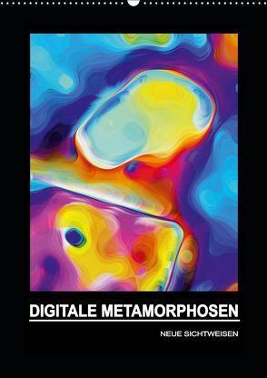 DIGITALE METAMORPHOSEN – NEUE SICHTWEISEN (Wandkalender 2019 DIN A2 hoch) von Borgulat,  Michael