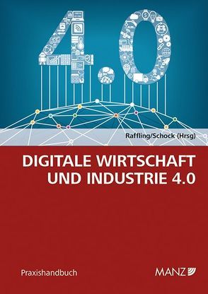 Digitale Wirtschaft und Industrie 4.0 von Raffling,  Philip, Schock,  Sofie