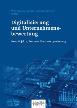 Digitalisierung und Unternehmensbewertung von Ballwieser,  Wolfgang, Hachmeister,  Dirk