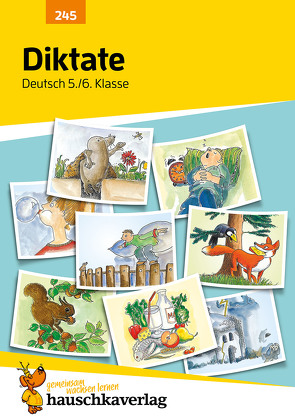 Diktate 5./6. Klasse, A5-Heft von Thiele,  Rainer, Widmann,  Gerhard