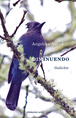 Diminuendo von Arend,  Angelika, Brandl,  Helmuth