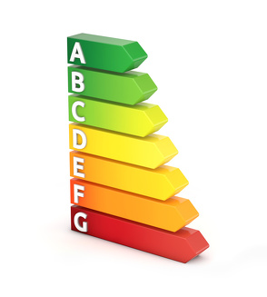 Mustervorlage Qualität und Umwelt nach DIN EN ISO 14001:2015 und 9001:2015 von Seiler,  Klaus