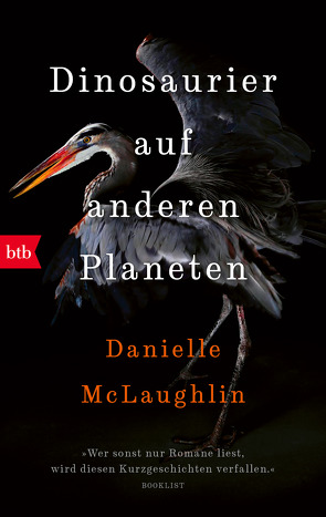 Dinosaurier auf anderen Planeten von McLaughlin,  Danielle, Morawetz,  Silvia