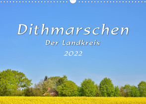 Dithmarschen – Der Landkreis (Wandkalender 2022 DIN A3 quer) von Plett,  Rainer