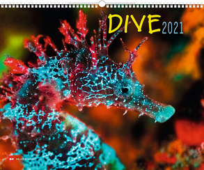 Dive 2021