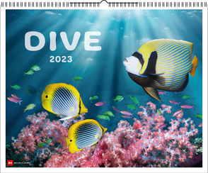 Dive 2023