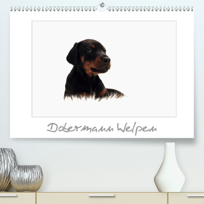 Dobermann Welpen (Premium, hochwertiger DIN A2 Wandkalender 2021, Kunstdruck in Hochglanz) von - Nicole Hahn,  nh-pawpixx.com