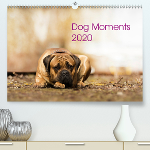 Dog Moments 2020 (Premium, hochwertiger DIN A2 Wandkalender 2020, Kunstdruck in Hochglanz) von Gauger,  Jenny