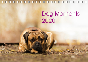 Dog Moments 2020 (Tischkalender 2020 DIN A5 quer) von Gauger,  Jenny