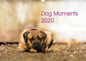 Dog Moments 2020 (Wandkalender 2020 DIN A3 quer) von Gauger,  Jenny