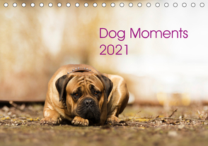 Dog Moments 2021 (Tischkalender 2021 DIN A5 quer) von Gauger,  Jenny