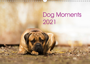 Dog Moments 2021 (Wandkalender 2021 DIN A3 quer) von Gauger,  Jenny