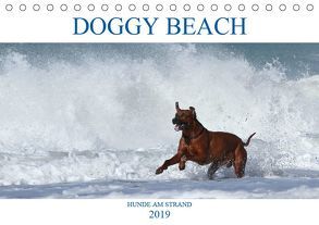 DOGGY BEACH – Hunde am Strand (Tischkalender 2019 DIN A5 quer) von Eckerl Tierfotografie,  Petra