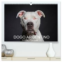 DOGO ARGENTINO (hochwertiger Premium Wandkalender 2024 DIN A2 quer), Kunstdruck in Hochglanz von Schuberts-Fotografie,  Schuberts-Fotografie