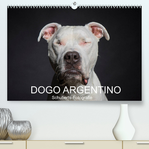 DOGO ARGENTINO (Premium, hochwertiger DIN A2 Wandkalender 2023, Kunstdruck in Hochglanz) von Schuberts-Fotografie