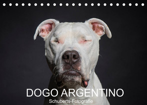 DOGO ARGENTINO (Tischkalender 2023 DIN A5 quer) von Schuberts-Fotografie