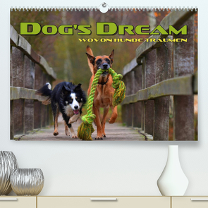 DOG’S DREAM – wovon Hunde träumen (Premium, hochwertiger DIN A2 Wandkalender 2023, Kunstdruck in Hochglanz) von Bleicher,  Renate