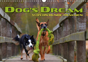 DOG’S DREAM – wovon Hunde träumen (Wandkalender 2021 DIN A3 quer) von Bleicher,  Renate