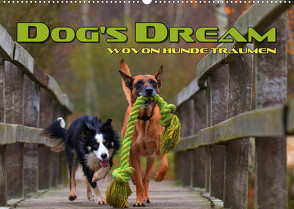 DOG’S DREAM – wovon Hunde träumen (Wandkalender 2022 DIN A2 quer) von Bleicher,  Renate