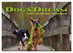 DOG’S DREAM – wovon Hunde träumen (Wandkalender 2024 DIN A2 quer), CALVENDO Monatskalender von Bleicher,  Renate