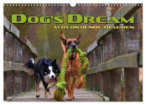 DOG’S DREAM – wovon Hunde träumen (Wandkalender 2024 DIN A3 quer), CALVENDO Monatskalender von Bleicher,  Renate