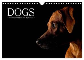 Dogs (Wandkalender 2024 DIN A4 quer), CALVENDO Monatskalender von Noack,  Nicole