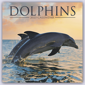 Dolphins – Delfine – Delphine 2023 – 16-Monatskalender