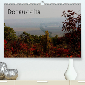 DonaudeltaCH-Version (Premium, hochwertiger DIN A2 Wandkalender 2023, Kunstdruck in Hochglanz) von Schneeberger,  Daniel