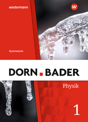 Dorn / Bader Physik SI – Allgemeine Ausgabe 2019 von Mueller,  Rainer