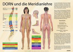 DORN und die Meridianlehre