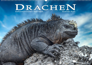 Drachen: Geheimnisvolles Tierreich (Wandkalender 2023 DIN A2 quer) von Guni,  Günter