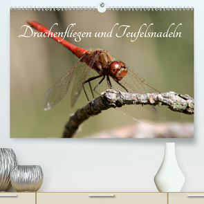 Drachenfliegen und Teufelsnadeln (Premium, hochwertiger DIN A2 Wandkalender 2020, Kunstdruck in Hochglanz) von Freiberg,  Thomas