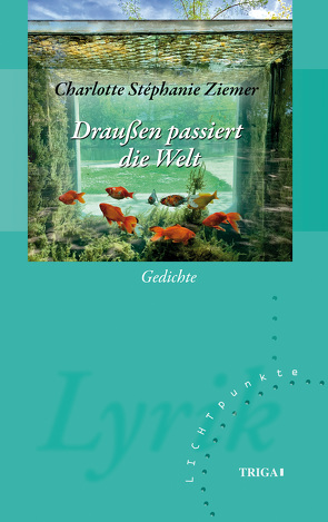 Draußen passiert die Welt von Ziemer,  Charlotte Stéphanie