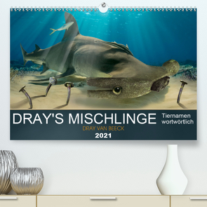 Dray’s Mischlinge (Premium, hochwertiger DIN A2 Wandkalender 2021, Kunstdruck in Hochglanz) von van Beeck,  Dray