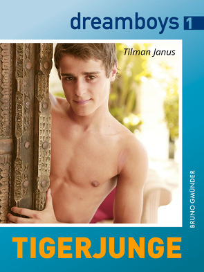 dreamboys 1: Tigerjunge von Janus,  Tilman