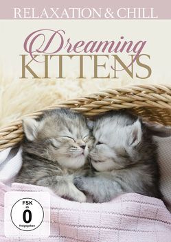 Dreaming Kittens von ZYX Music GmbH & Co. KG