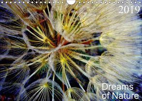 Dreams of Nature (Wandkalender 2019 DIN A4 quer) von AnBe