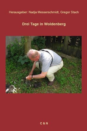 Drei Tage in Woldenberg von Messerschmidt,  Nadja, Stach,  Gregor