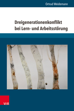 Dreigenerationenkonflikt bei Lern- und Arbeitsstörung von Weidemann,  Ortrud