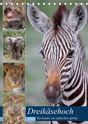Dreikäsehoch – Tierkinder im südlichen Afrika (Tischkalender 2023 DIN A5 hoch) von Woyke,  Wibke