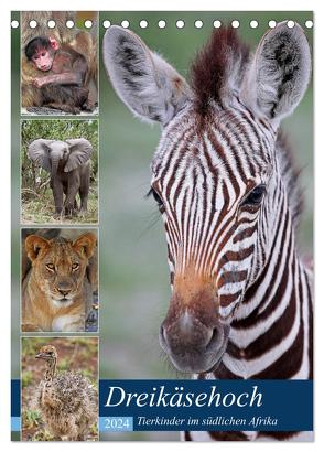 Dreikäsehoch – Tierkinder im südlichen Afrika (Tischkalender 2024 DIN A5 hoch), CALVENDO Monatskalender von Woyke,  Wibke
