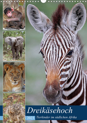 Dreikäsehoch – Tierkinder im südlichen Afrika (Wandkalender 2023 DIN A3 hoch) von Woyke,  Wibke
