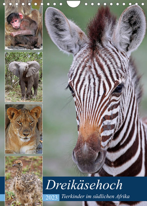 Dreikäsehoch – Tierkinder im südlichen Afrika (Wandkalender 2023 DIN A4 hoch) von Woyke,  Wibke