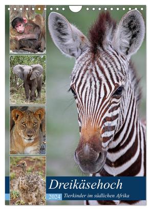 Dreikäsehoch – Tierkinder im südlichen Afrika (Wandkalender 2024 DIN A4 hoch), CALVENDO Monatskalender von Woyke,  Wibke