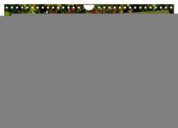 Dresden prachtvoll und verspielt (Wandkalender 2024 DIN A4 quer), CALVENDO Monatskalender von Kruse,  Gisela