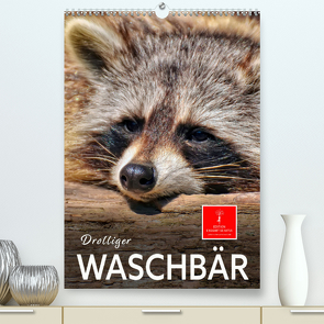 Drolliger Waschbär (Premium, hochwertiger DIN A2 Wandkalender 2023, Kunstdruck in Hochglanz) von Roder,  Peter