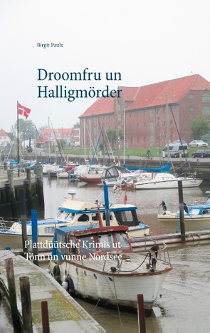 Droomfru un Halligmörder von Pauls,  Birgit