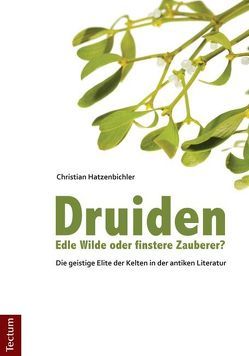 Druiden – Edle Wilde oder finstere Zauberer? von Hatzenbichler,  Christian