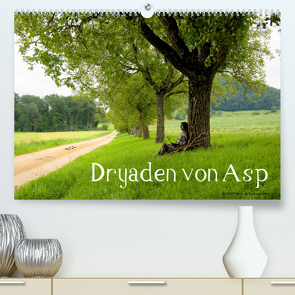 Dryaden von AspCH-Version (Premium, hochwertiger DIN A2 Wandkalender 2023, Kunstdruck in Hochglanz) von Lara,  Romana