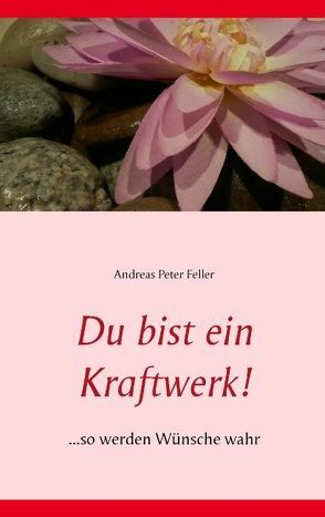 Du bist ein Kraftwerk! von Keß,  Andreas Peter